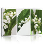 Consalnet Gyöngyvirág, vászonkép, 60x40 cm méretben (C5-11908O4)