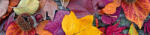 Dimex AUTUMN LEAVES öntapadós konyhai poszter, 260x60 cm (KI-260-047)