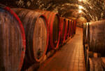 Dimex WINE BARRELS fotótapéta, poszter, vlies alapanyag, 375x250 cm (MS-5-0247)