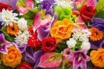 Dimex Vlies Fotótapéta - Bunch of spring flowers - 375x250 cm (MS-5-1374)