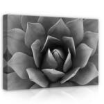 Consalnet Virág, vászonkép, 70x50 cm méretben (C5-12684O7)