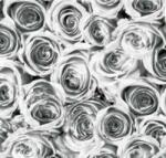 Vénilia Décor Gekkofix ROSES WHITE GREY öntapadós tapéta 45 cm x 2 m (12855)