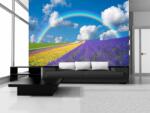 Consalnet Rainbow poszter, fotótapéta (368 x 254 cm) (C1-018V8)