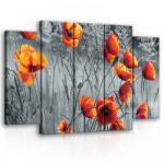 Consalnet Vászonkép, 5 darabos Pipacsok 150x100 cm méretben (C5-11746S12)