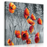 Consalnet Narancssárga pipacs, vászonkép 40x40 cm méretben (C5-11746O5)