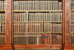 Dimex LIBRARY fotótapéta, poszter, vlies alapanyag, 375x250 cm (MS-5-0263)