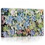 Consalnet Kőrózsák, vászonkép, 60x40 cm méretben (C5-11757O4)