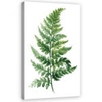 Consalnet Páfrány, vászonkép, 40x60 cm méretben (C5-11940O4)