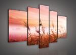 Consalnet Vászonkép, 5 darabos, Perjék 170x100 cm méretben (C5-1525S4A)
