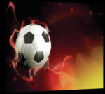 Consalnet Focilabda, vászonkép, 60x40 cm méretben (C5-20108O4)