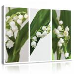 Consalnet Vászonkép, Gyöngyvirág 80x60 cm méretben (C5-11908O6)