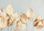 Consalnet Bézs levelek poszter, fotótapéta, Vlies (200 x 140 cm) (C1-15563VX4)