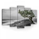 Consalnet Vászonkép 5 darabos, Zöldelő fa a hegytetőn 100x60 cm méretben (C5-11759S17)