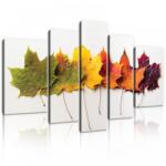 Consalnet Vászonkép, 5 darabos, Őszi levelek 170x100 cm méretben (C5-11719S4A)