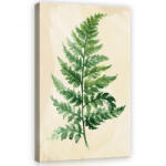 Consalnet Páfrány, vászonkép, 40x60 cm méretben (C5-11961O4)