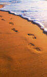 Dimex FOOTSTEPS fotótapéta, poszter, vlies alapanyag, 150x250 cm (MS-2-0193)