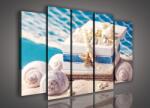 Consalnet Vászonkép, 5 darabos Tenger kincsei 150x100 cm méretben (C5-812S12)