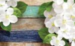 Consalnet Virágok poszter, fotótapéta (312 x 219 cm) (C1-2001VEXXL)