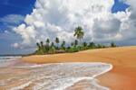 Dimex Vlies Fotótapéta - Wild beach Sri Lanka - 375x250 cm (MS-5-3227)