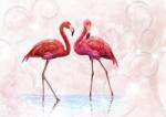 Consalnet Flamingók poszter, fotótapéta (400 x 280 cm) (C1-10199VX8)