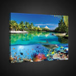 Consalnet Vászonkép, Delfinek, 60x40 cm méretben (C5-2355O4)