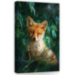 Consalnet Róka kölyök, vászonkép, 40x60 cm méretben (C5-12522O4)