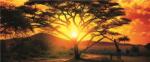 Consalnet African Sunset poszter, fotótapéta 400VEP /250x104 cm/ (400-VEP)