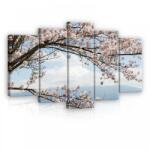 Consalnet Vászonkép 5 darabos, Virágzó fa 100x60 cm méretben (C5-11800S17)