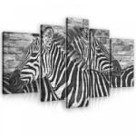 Consalnet Vászonkép, 5 darabos, Zebrák 170x100 cm méretben (C5-10113S4A)