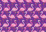 Consalnet Flamingók poszter, fotótapéta (208 x 146 cm) (C1-11141VEXL)