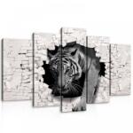 Consalnet Vászonkép 5 darabos, Tigris 100x60 cm méretben (C5-10400S17)