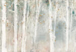 Consalnet Fák - A Woodland Walk I, Lisa Audit poszter, fotótapéta (368 x 254 cm) (C1-14910V8)