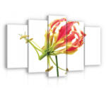 Consalnet Vászonkép 5 darabos, Kúszó liliom 100x60 cm méretben (C5-20438S17)