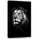 Consalnet Oroszlán fekete-fehérben, vászonkép, 40x60 cm méretben (C5-11768O4)