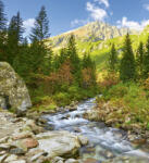 Dimex VALLEY fotótapéta, poszter, vlies alapanyag, 225x250 cm (MS-3-0077)