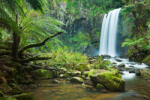 Dimex Vlies Fotótapéta - Waterfall in jungle - 375x250 cm (MS-5-1610)