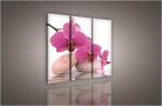 Consalnet Orchidea, 3 darabos vászonkép, 90x80 cm méretben (C5-136S6)