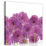 Consalnet Hagymavirág, vászonkép 40x40 cm méretben (C5-11398O5)