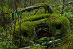Dimex Vlies Fotótapéta - Car covered in moss - 375x250 cm (MS-5-2724)