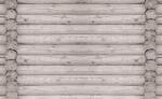 Consalnet Fatörzsek poszter, fotótapéta (368 x 254 cm) (C1-2213V8)