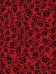 Consalnet Rózsák vlies poszter, fotótapéta 2390VE-A /206x275 cm/ (2390-VE-A)