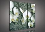 Consalnet Virág, 3 darabos vászonkép, 90x80 cm méretben (C5-413S6)