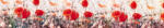 Dimex POPPY FLOWERS öntapadós konyhai poszter, 350x60 cm (KI-350-171)