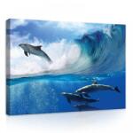Consalnet Delfinek, vászonkép, 70x50 cm méretben (C5-20311O7)