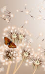Dimex DANDELIONS AND BUTTERFLY fotótapéta, poszter, vlies alapanyag, 150x250 cm (MS-2-0148)