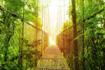 Dimex Vlies Fotótapéta - Hanging bridge - 375x250 cm (MS-5-0657)