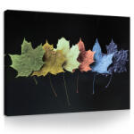 Consalnet Vászonkép, Szines levelek, 60x40 cm méretben (C5-11772O4)