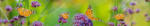 Dimex BUTTERFLIES öntapadós konyhai poszter, 350x60 cm (KI-350-113)