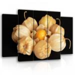 Consalnet Vászonkép, 5 darabos Lampionvirág 150x100 cm méretben (C5-11780S12)