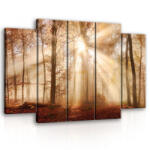Consalnet Vászonkép, 5 darabos Napos erdő 150x100 cm méretben (C5-10471S12)